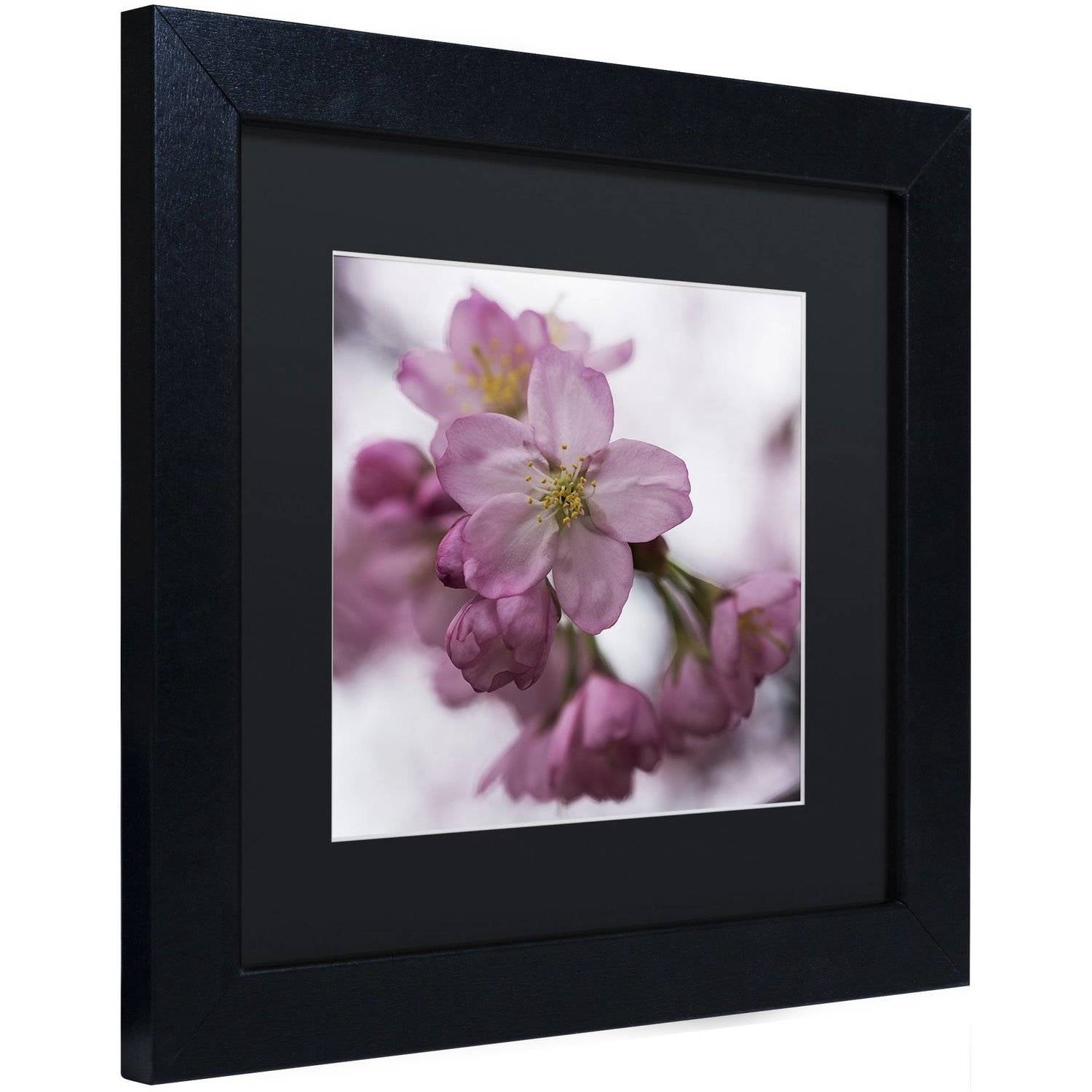 Trademark Fine Art "Cherry Pink" Canvas Art by Kurt Shaffer, Black Matte, Black Frame