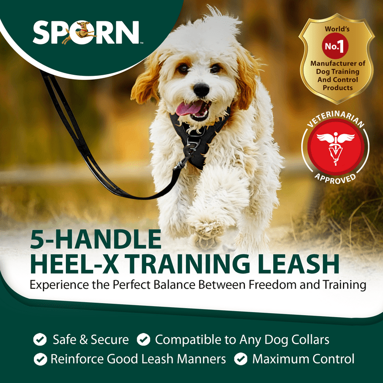 Heel leash sale