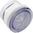thumbnail image 2 of Waterway Plastics 630-5005 3.5 in. Face & 2.5 in. Hole Waterway - Oem Rear Access Light Lens Kit, 2 of 2
