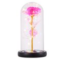 thumbnail image 4 of GOOHOCHY 1pc Desktop LED Flower Light Room Simulación Decoración de rosa con cubierta de vidrio, 4 of 7