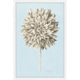thumbnail image 1 of Marmont Hill "Botanical Study III" Framed Painting Print, 1 of 5