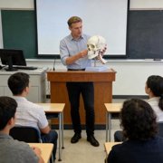 CEORPER Precise Human Display With Detachable Sections For School Lessons