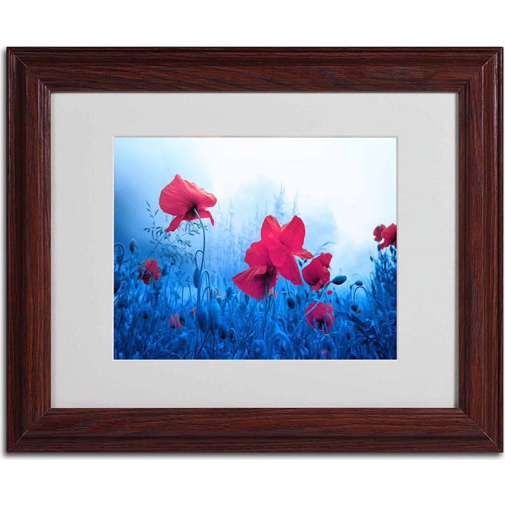 Trademark Fine Art "Jam for Poppies" Canvas Art by Philippe Sainte-Laudy, Wood Frame