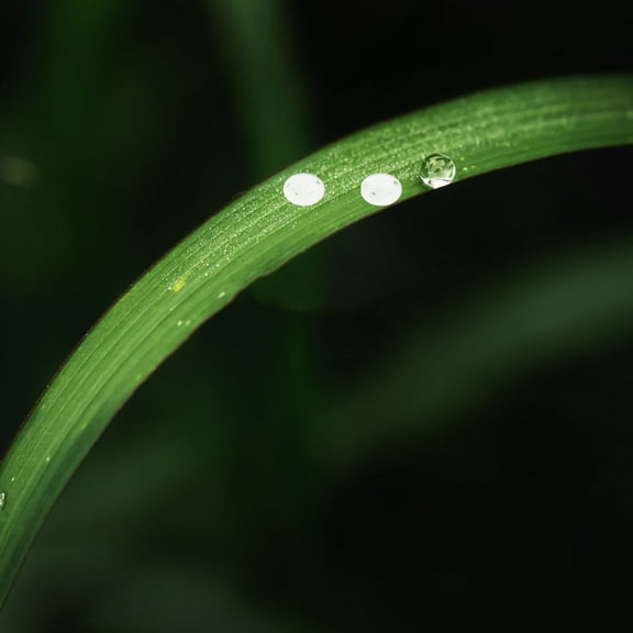 OUNONA 1050Pcs Clear Resin Water Droplet Embellishments Self Adhesive Transparent Dewdrop Decor