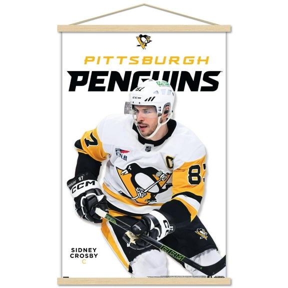 NHL Pittsburgh Penguins - Sidney Crosby Feature Series 24 Wall Poster with Magnetic Frame, 22.375" x 34"