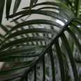 thumbnail image 4 of Nearly Natural 6ft. Artificial Paradise Palm with White Decorative Planter, Green, 4 of 7