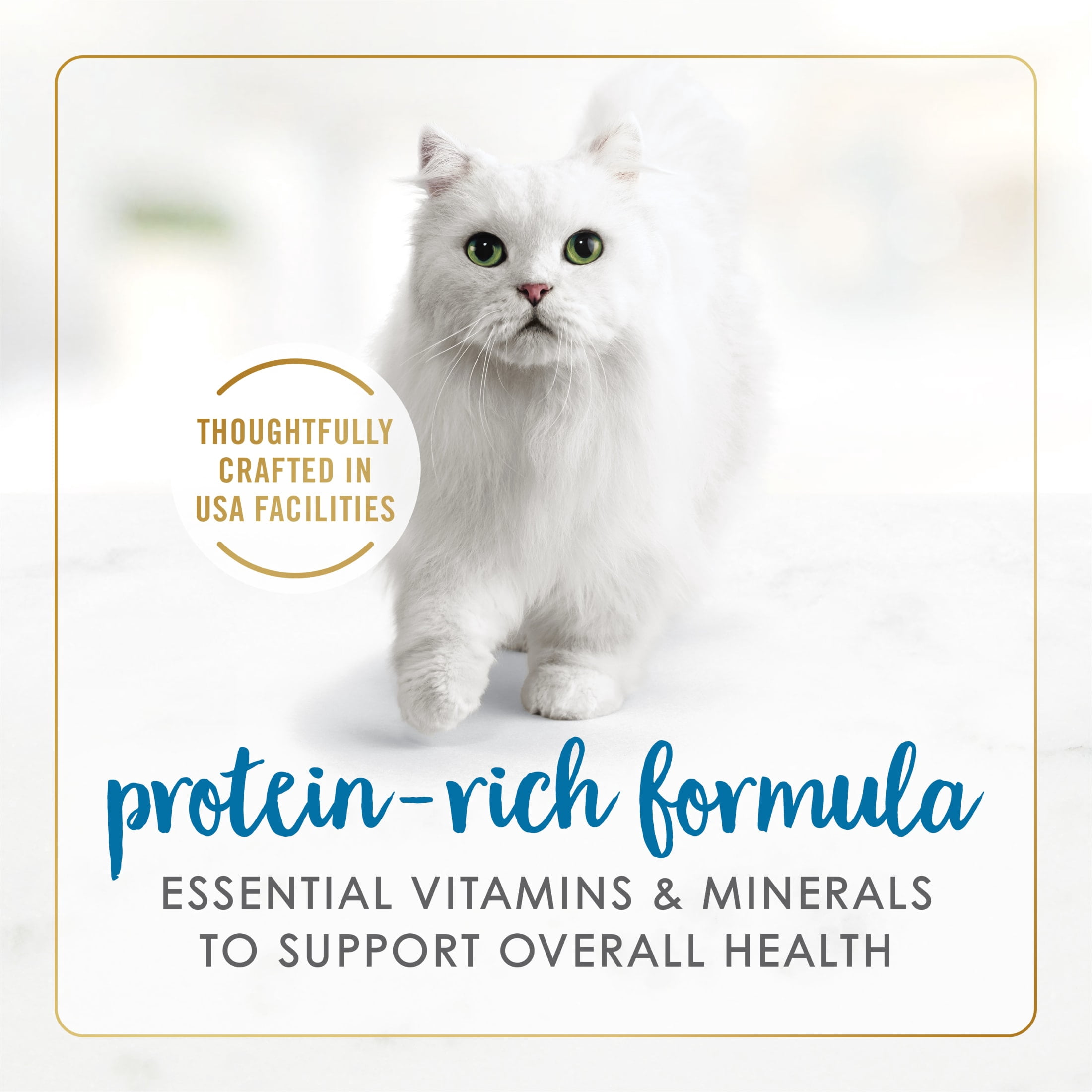(2 pack) Purina Fancy Feast Chunky Kitten Food, Wet Cat Food, Turkey Feast, 3 oz Cans, 24 Pack