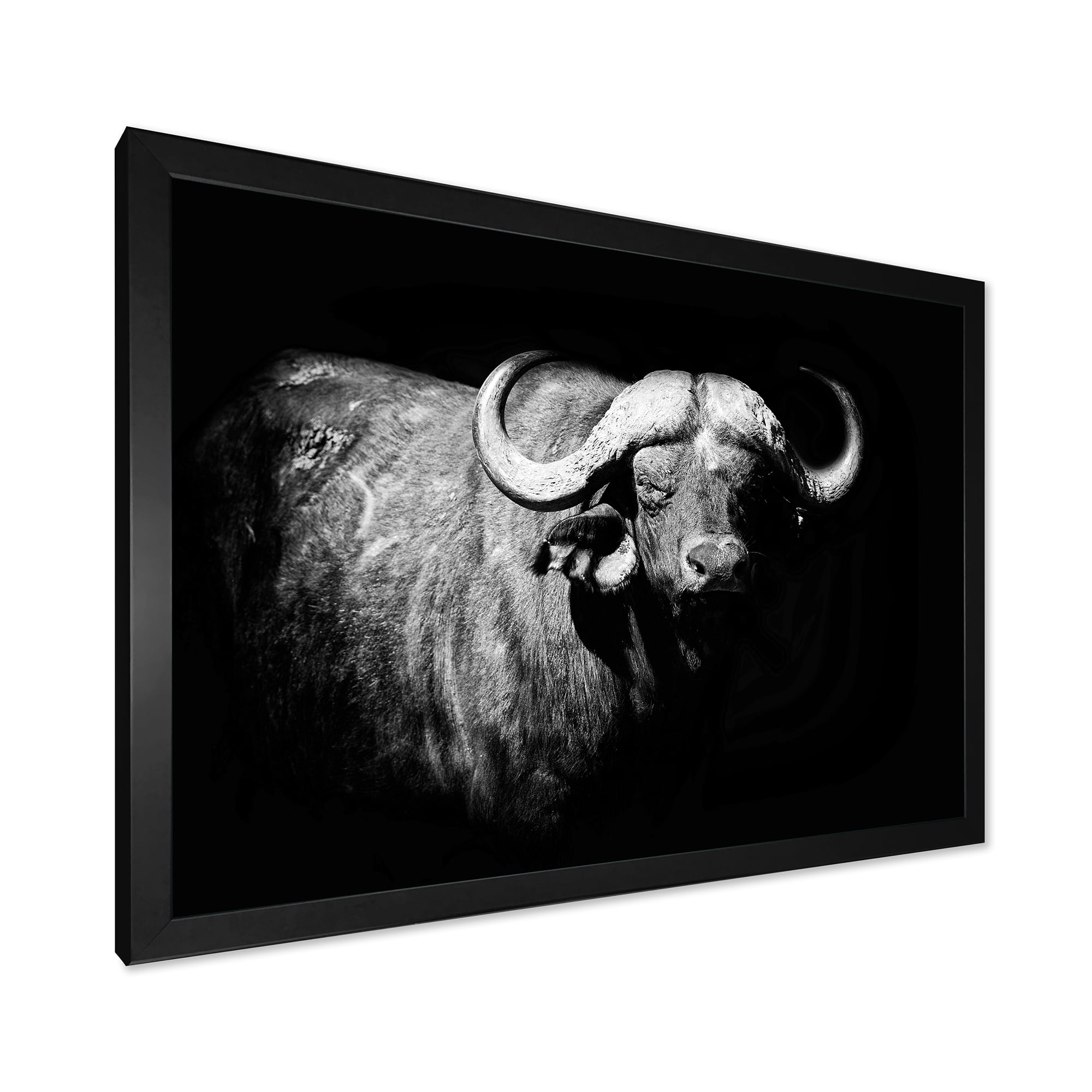 Designart 'Black and White Portrait Of Buffalo I' Farmhouse Framed Art Print