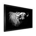 thumbnail image 2 of Designart 'Black and White Portrait Of Buffalo I' Farmhouse Framed Art Print, 2 of 4