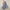Blue, variant on Clearance!BKQCNKM Maxi Skirt Flowy Skirts for Women Plaid Print Skirt with Large Hem and High Waist Pocket Skirt Long Dresses for Women Black L