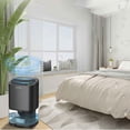 thumbnail image 4 of Small Dehumidifier for Home Bedroom, Quiet Air Dryer with Standard Plug, Compact Moisture Absorber for Wardrobe and Basements, Black, 4 of 8