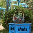 thumbnail image 3 of MesaSe Ceramic Plant Pot Rattan Handheld Succulent Pots Planter For All Indoor Plants Flowers, 3 of 9