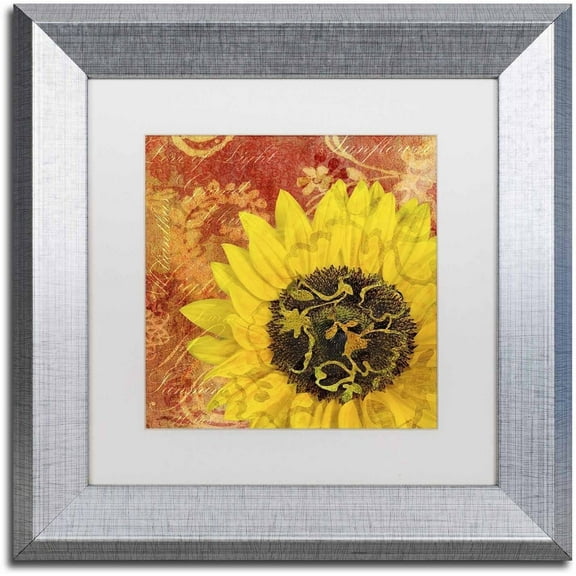 Trademark Fine Art 'Sunflower - Love of Light' Canvas Art by Cora Niele, White Matte, Silver Frame