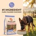 thumbnail image 3 of Canidae Heartland Farm-Raised Chicken & Ancient Grains Puppy Recipe, 4 lb. Bag, 3 of 10
