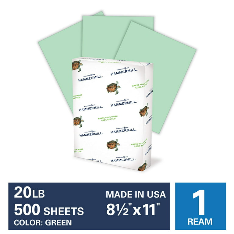 Bryco Goods Packing Paper Sheets for Moving - 20lb - 640 Sheets of