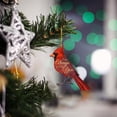 thumbnail image 4 of Twinkseal Easy to Hang Christmas Ornament Double-sided Printed Christmas Tree Pendant Priest Realistic Bird Decor with Letter Print Tag Hanging for Christmas, 4 of 8