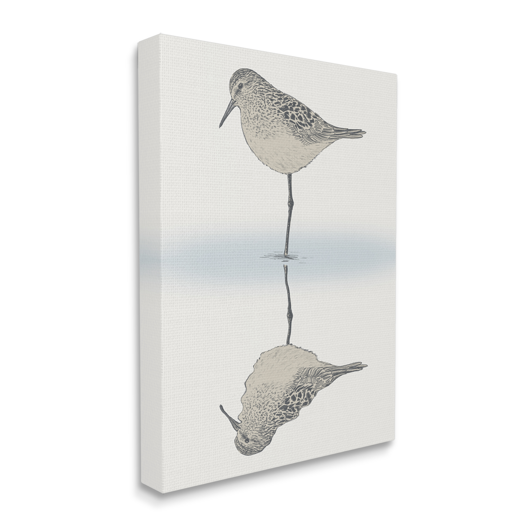 Stupell Industries Tranquil Sandpiper Bird Reflection Shallow Beach Shoreline Graphic Art Gallery Wrapped Canvas Print Wall Art, Design by Ziwei Li