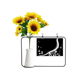 thumbnail image 1 of Hueso de dinosaurio de vegetación fósil Tarjeta de bendición de jarrón de girasol artificial, 1 of 3