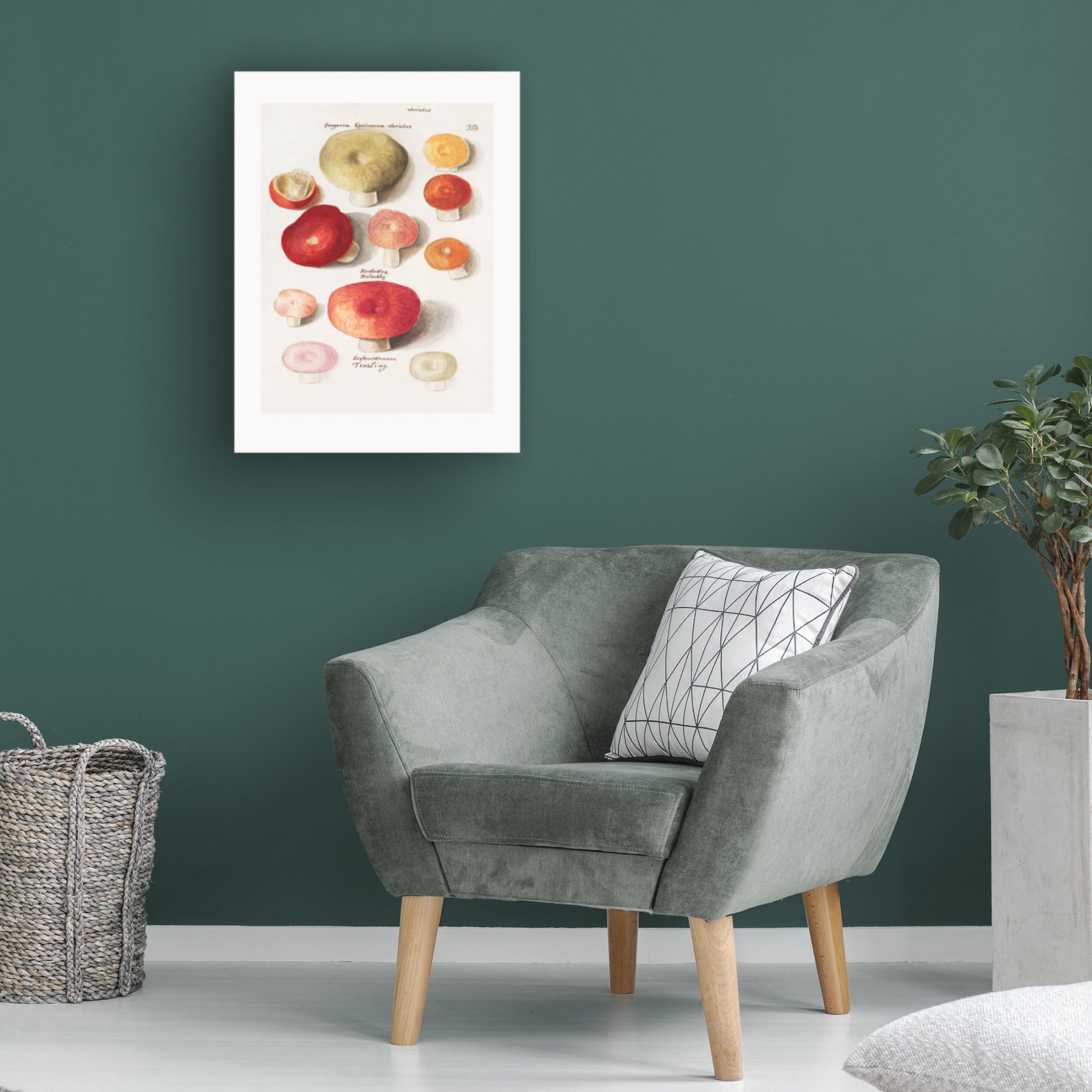 Trademark Fine Art Pictufy  Boleten, Boletales Standing Canvas Wall Art