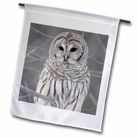 3dRose, Barred Owl, 18 x 27 inch Garden Flag