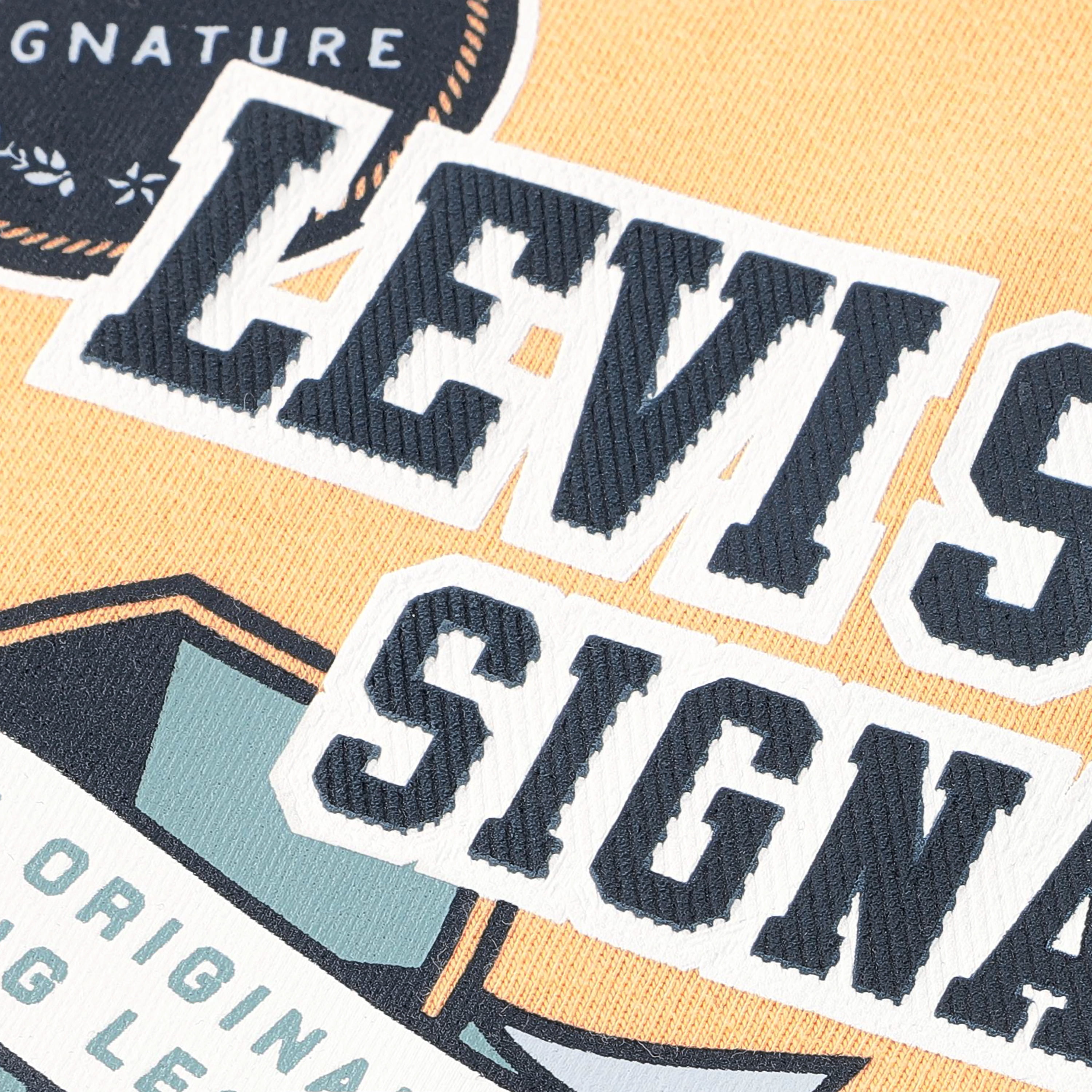 Levi Strauss Signature Boy Short Sleeve Graphic Tee, Sizes 4-18