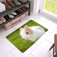 thumbnail image 3 of MKHERT Baby Rabbit Sitting in Grassland Cute Animal Doormat Rug Home Decor Floor Mat Bath Mat 23.6x15.7 inch, 3 of 3