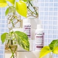thumbnail image 4 of Nutriente Enraizante Mejorador De Suelo The Real Green 120ml, 4 of 8