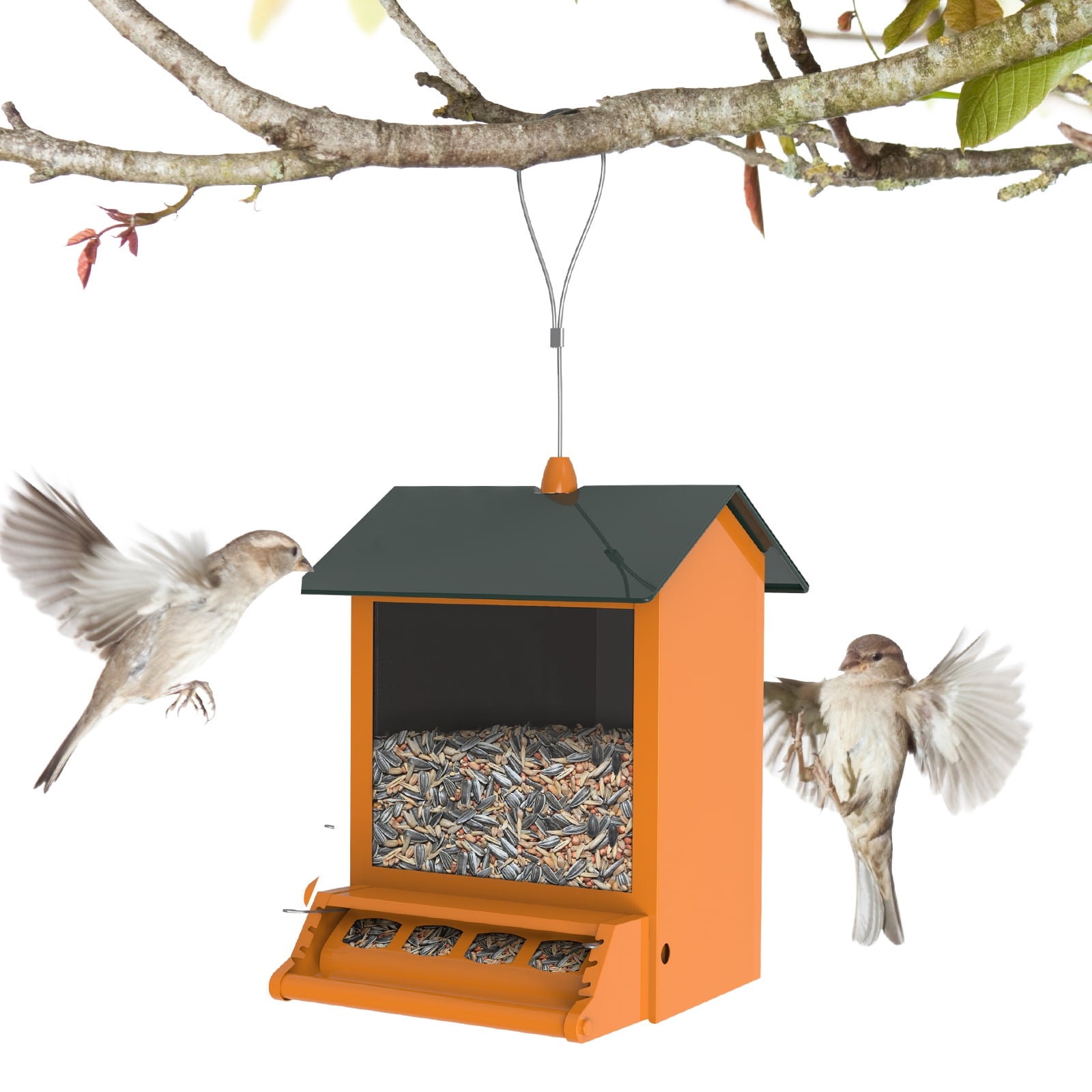 Digipettor 6 lbs Squirrel-Proof Outdoor Wild Bird Feeder with Weight-Activated Perches, 4 Feeding Ports for Garden Yard Outside Decoration