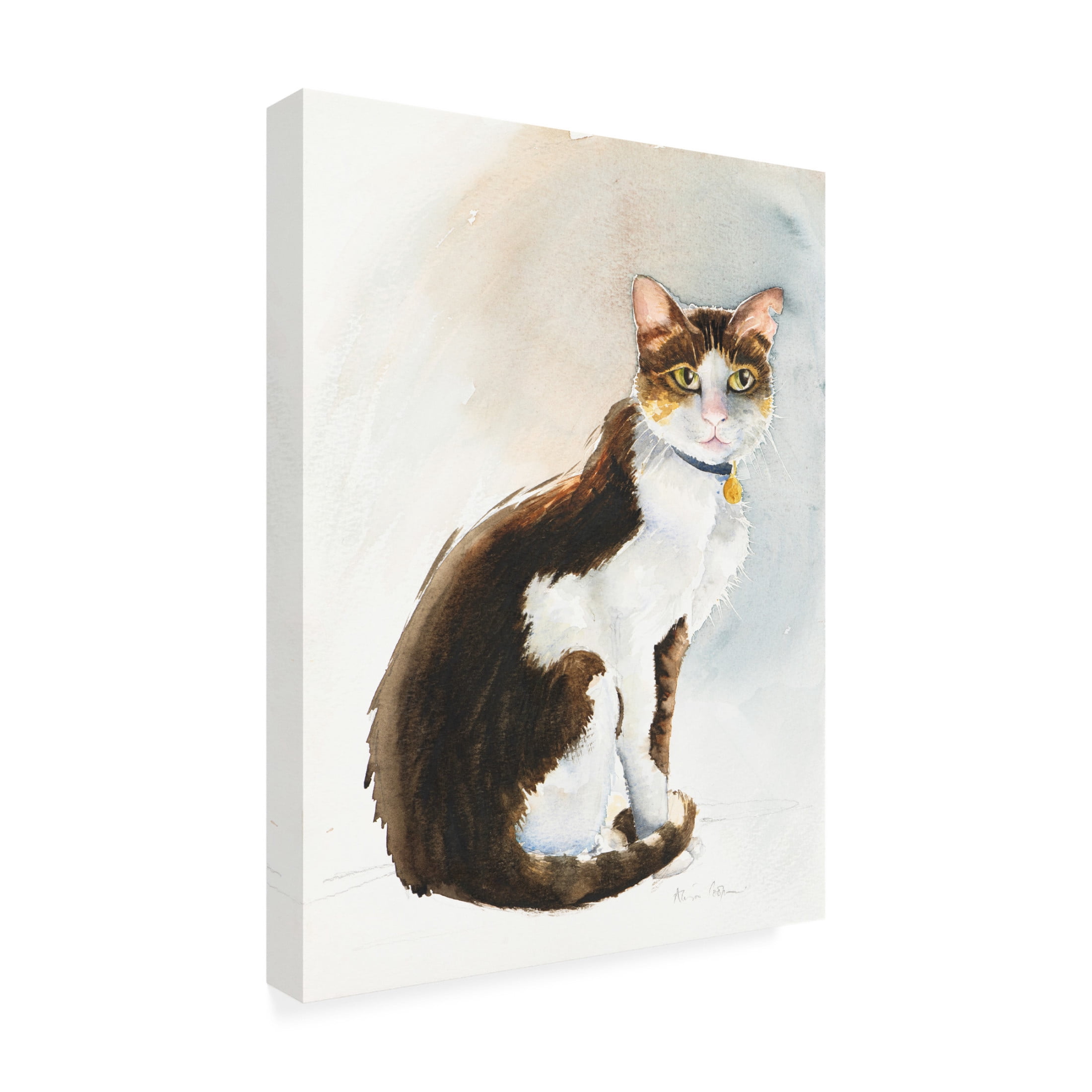 Alison Cooper 'Dave the Saudi Cat, 2019' Canvas Art - 24 x 32 Inches