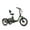 Green, variant on Addmotor Electric Trike for Adults, 750W, Folding Electric Tricycle, 48V 20Ah, 90MI, 380lbs, 3 Wheel Electric Bikes, Step Through Etrike, Parking Brake, Rear Motor & Differential, E-310 Red