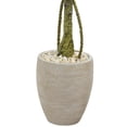 thumbnail image 4 of Nearly Natural 5.5 ft. Bougainvillea Topiary Artificial Tree in Sand Colored Planter, 4 of 4