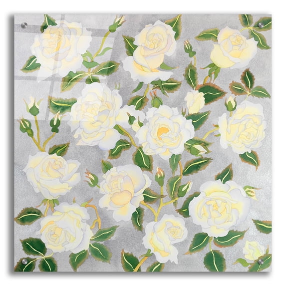 Epic Art 'White Roses- Square' by Carissa Luminess, Acrylic Glass Wall Art, 24"x24"