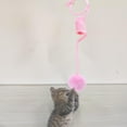 thumbnail image 3 of TISHITA Cat Kitten Toy Exercise Retractable Spring Funny Indoor Flexible Fuzzy Balls Cat Pink, 3 of 8