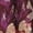 Purple, variant on Adrianna Papell womens Sleeveless Midi Dress, 12, Purple