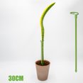 thumbnail image 5 of 6 Pack Plant Support Stakes, Upgraded Plant Stake for Indoor Plants, Flower Sticks Orchid Stakes Plant Sticks Support for Peony Tomato Rose, 5 of 5