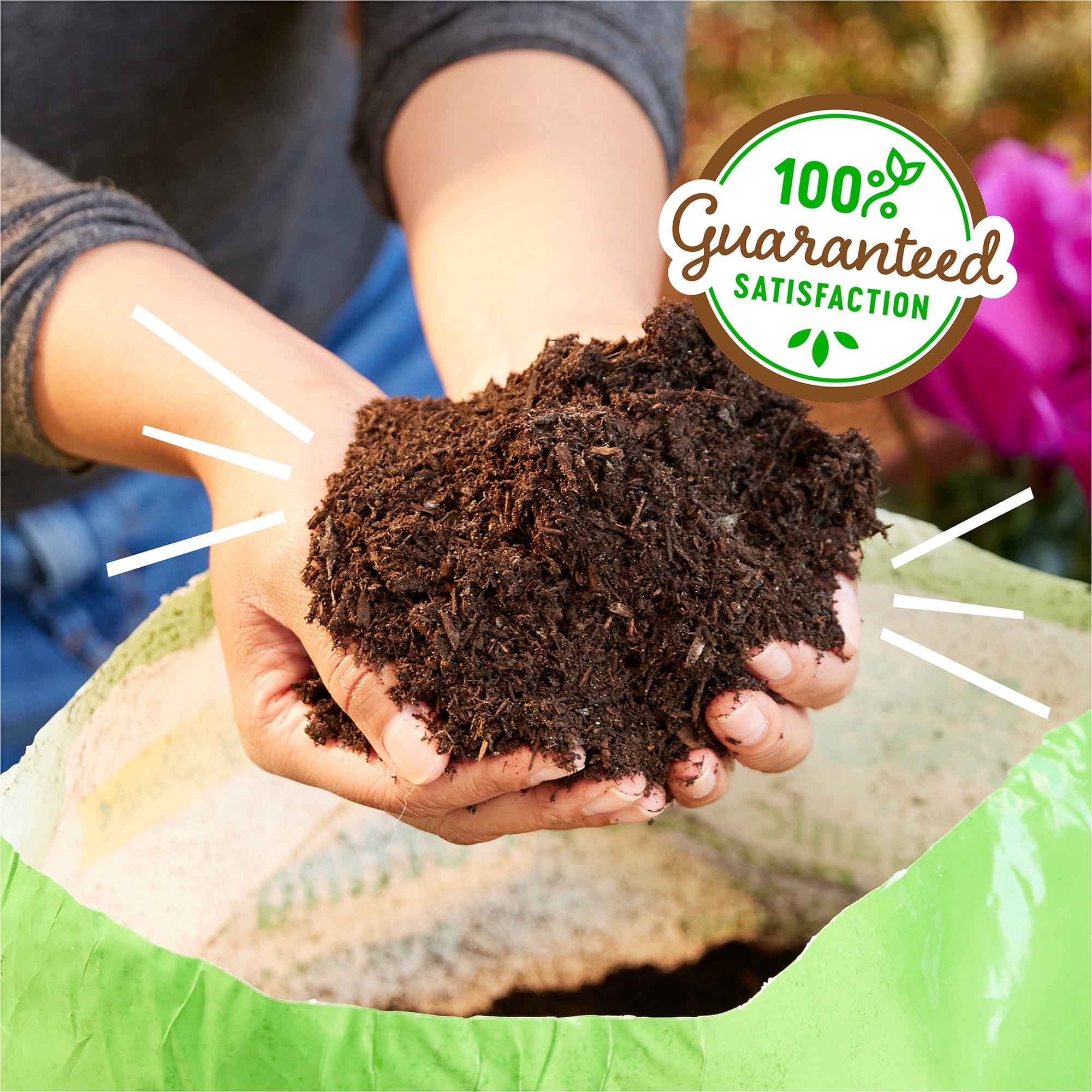 Back to the Roots Organic All-Purpose, Peat-Free Premium Potting Mix (6 QT)