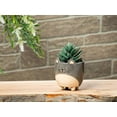 thumbnail image 5 of Abbott Collection AB-27-CRITTER-829-SM 3 in. Cat on Legs Planter, Grey - Small, 5 of 5
