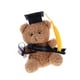 thumbnail image 5 of Osos de peluche de graduación con borlas para el birrete, oso de peluche para graduación, ideal para fiestas, 5 of 8