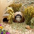 thumbnail image 4 of Casa de hámster de coco Natural de 1 pieza adecuada para la decoración del hábitat de la jaula de animales pequeños mantener el calor para la molienda de invierno JAMW Sencillez, 4 of 5