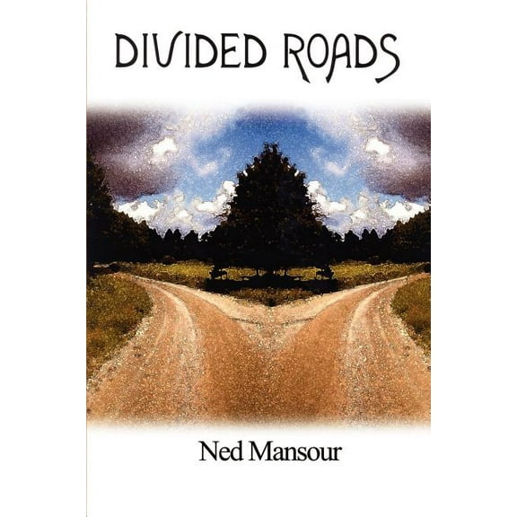 Divided Roads, (Paperback)