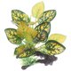 thumbnail image 1 of EXHUMKY Planta Artificial Para Acuario Multicolor Resistente Fácil Mantenimiento, 1 of 7