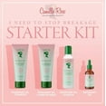 thumbnail image 2 of Camille Rose Rosemary Oil Strengthening Olive Oil Nourish & Lengthen Hair & Scalp Drops, 1.9oz, 2 of 12