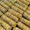thumbnail image 5 of Cedar Sage Bulk Wholesale Smudge Sticks Cedar Sage Bulk, California Cedar Sage Bundle At Wholesale, 5 of 5