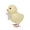 E, variant on Easter Chicks With Bows For Home Yard Party Desk