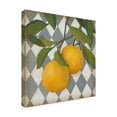 thumbnail image 2 of Trademark Fine Art 'Fruit and Pattern IV' Canvas Art by Megan Meagher, 2 of 4