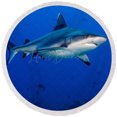 thumbnail image 1 of Lofaris Deep Sea Sharks Danger Summer Vibe Round Beach Towel, 1 of 3