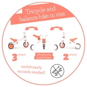 Chillafish Bunzi Gradual Balance Bike and Tricycle,6 inches, 2-in-1 Ride on Toy for 1-3 Years Old, Silent Non-Marking Wheels, Flamingo