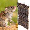 thumbnail image 4 of Pet Arch Bridge, Small Animals Healthy Hamster Ladder, Pet Cage Accessories Small Pets For Hamster M, 4 of 8