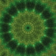 thumbnail image 1 of Ahgly Company Machine Washable Indoor Square Transitional Dark Lime Green Area Rugs, 6' Square, 1 of 7