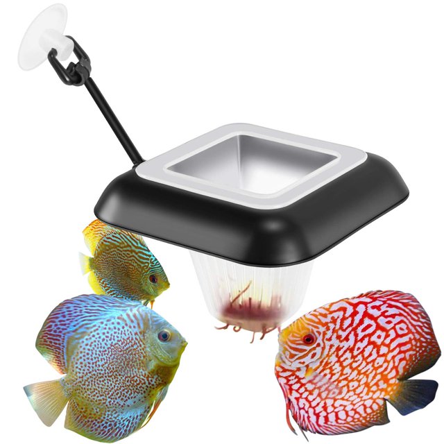 Anillo de alimentación para acuario, anillos flotantes, alimentador de alimentos, comedero cuadrado con ventosa para alimentador de peces con gusanos de sangre, gusanos de comida, 5 uds. ShuxiuWang 1327537000976